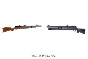 Top 12 Best .25 PCP Air Rifle Picks You Can’t Miss!