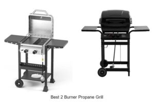 Top 15 Best 2 Burner Propane Grill for Perfect BBQs