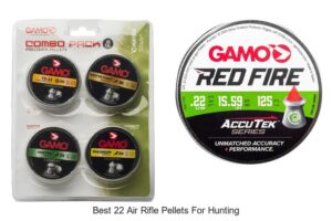 Top 12 Best 22 Air Rifle Pellets for Hunting Success!