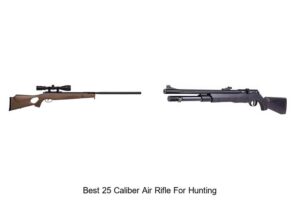 Top 12 Best 25 Caliber Air Rifle for Hunting You Must See