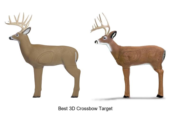 Top 12 Best 3D Crossbow Target You Can’t Miss Today