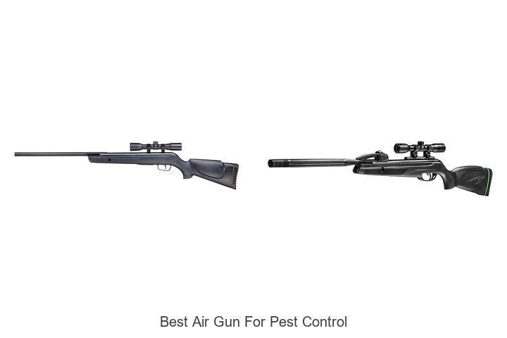 Top 15 Best Air Gun For Pest Control You Must See