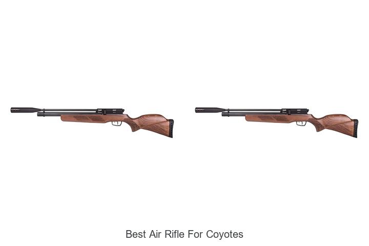 Top 12 Best Air Rifle for Coyotes That Hunters Swear By
