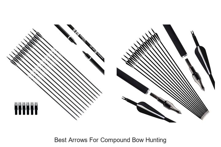 Top 15 Best Arrows For Compound Bow Hunting You Must See
