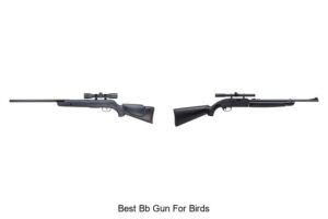 Top 15 Best BB Gun For Birds You Must See Now
