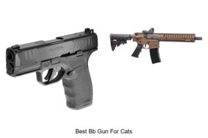 Top 15 Best BB Gun For Cats You Can’t Miss!