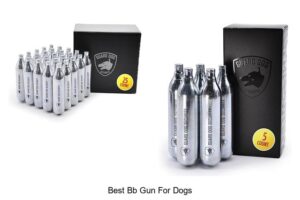 Top 15 Best BB Gun For Dogs That Will Blow Your Mind