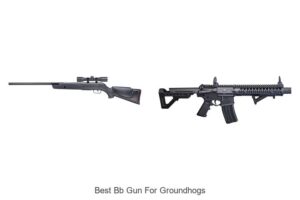 Top 15 Best BB Gun For Groundhogs — Ultimate Hunting Guide