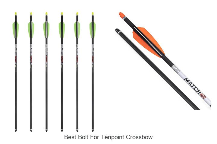 Top 12 Best Bolt For Tenpoint Crossbow You Must Try Today