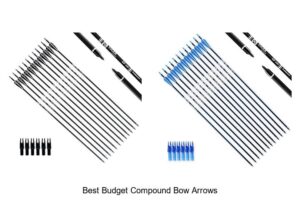 Top 15 Best Budget Compound Bow Arrows You Can’t Miss
