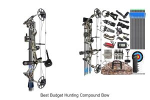 Top 15 Best Budget Hunting Compound Bow For Beginners