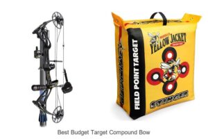 Top 15 Best Budget Target Compound Bow You Must See