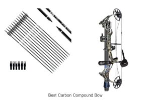 Top 15 Best Carbon Compound Bow for Precision Shooting