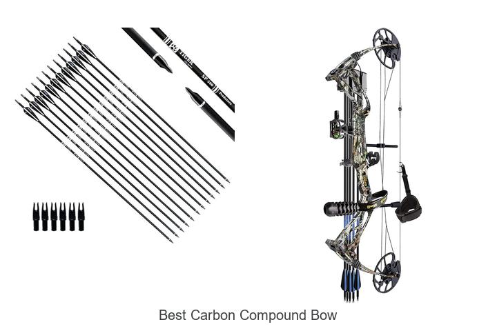 Top 15 Best Carbon Compound Bow for Precision Shooting