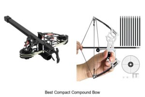 Top 15 Best Compact Compound Bow For Precision Shooting