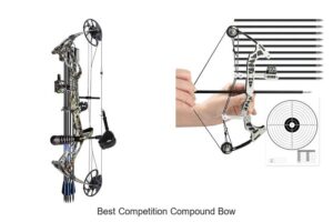 Top 15 Best Competition Compound Bow Secrets Revealed