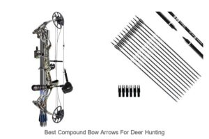 Top 15 Best Compound Bow Arrows for Deer Hunting Revealed