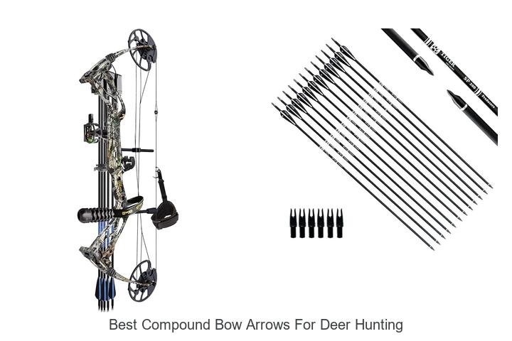 Top 15 Best Compound Bow Arrows for Deer Hunting Revealed