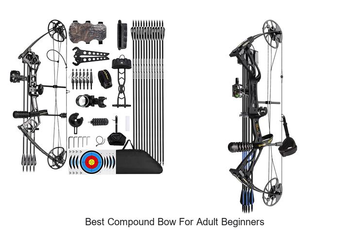 Top 15 Best Compound Bow For Adult Beginners That Will Amaze You