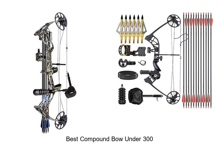 Top 15 Best Compound Bow Under 300 for Power and Precision