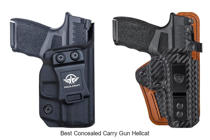 Top 15 Best Concealed Carry Gun Hellcat Secrets Revealed!