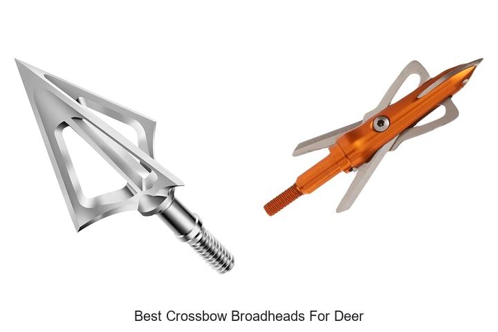 Top 12 Best Crossbow Broadheads for Deer That Kill Fast