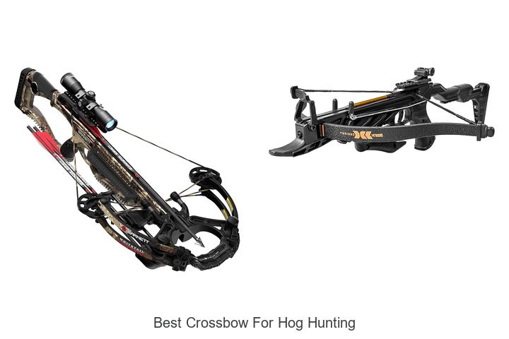 Top 12 Best Crossbow for Hog Hunting You Can’t Miss