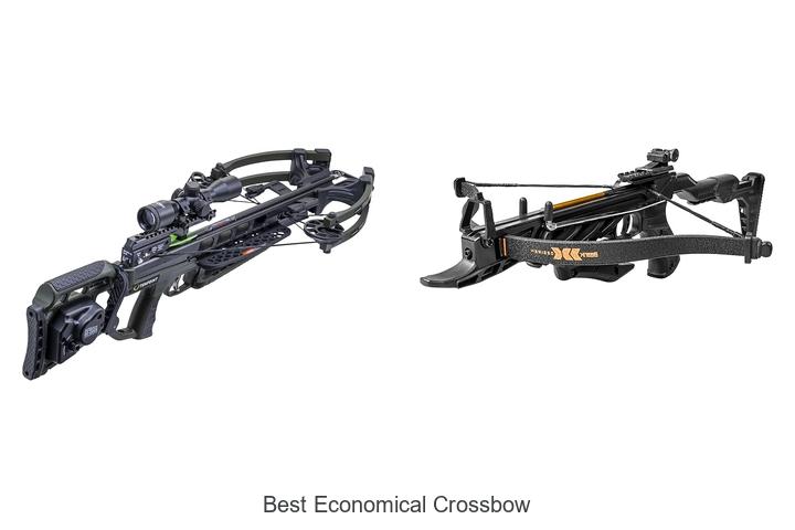 Top 12 Best Economical Crossbow Deals You Can’t Miss!