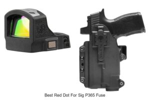 Top 12 Best Red Dot for Sig P365 Fuse You Can’t Miss