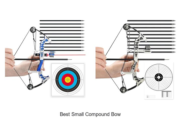 Top 15 Best Small Compound Bow You Can’t Miss