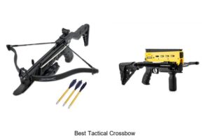 Top 12 Best Tactical Crossbow You Can’t Miss Buying Today