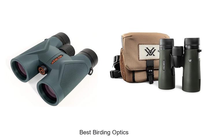 Top 15 Best Birding Optics You Can’t Miss Today!