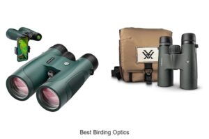 Top 15 Best Birding Optics You Can’t Miss Today