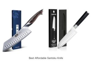 Top 12 Best Affordable Santoku Knife That Will Blow Your Mind
