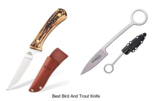 Top 12 Best Bird And Trout Knife That Will Blow Your Mind