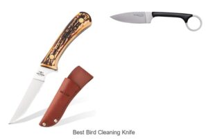 Top 12 Best Bird Cleaning Knife That Will Change Your Game