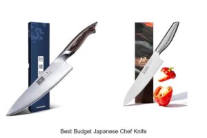 Top 12 Best Budget Japanese Chef Knife You Can’t Miss!