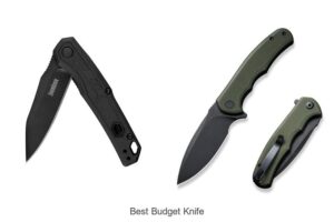 Top 12 Best Budget Knife That Will Blow Your Mind!