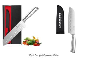 Top 12 Best Budget Santoku Knife Deals You Can’t Miss!