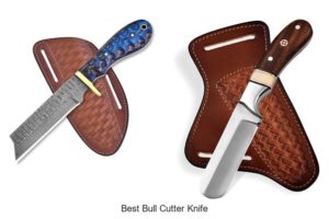 Top 12 Best Bull Cutter Knife You Can’t Miss Today