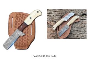 Top 12 Best Bull Cutter Knife That Will Blow Your Mind!