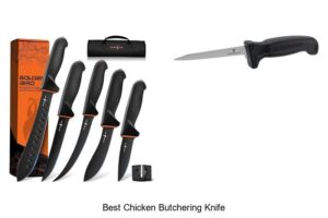 Top 12 Best Chicken Butchering Knife That Will Blow Your Mind