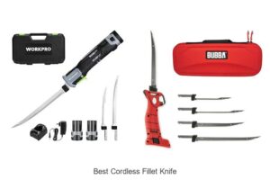 Top 12 Best Cordless Fillet Knife That Will Blow Your Mind