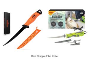 Top 12 Best Crappie Fillet Knife That Anglers Swear By
