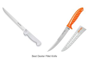 Top 12 Best Dexter Fillet Knife You Can’t Miss Today!