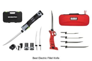 Top 12 Best Electric Fillet Knife You Can’t Miss Today