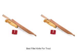 Top 12 Best Fillet Knife for Trout You Can’t Miss!