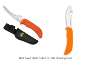 Top 12 Best Fixed Blade Knife for Field Dressing Deer Revealed!