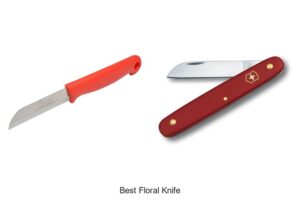 Top 12 Best Floral Knife That Will Transform Your Arrangements!