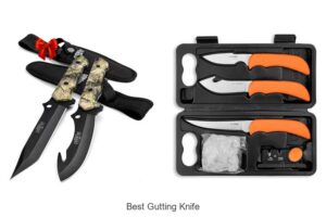 Top 12 Best Gutting Knife That Hunters Swear By Today